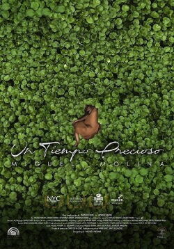 Un tiempo precioso (2020)