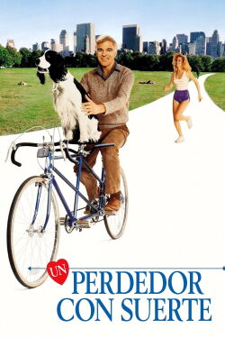 Un tipo solitario (1984)