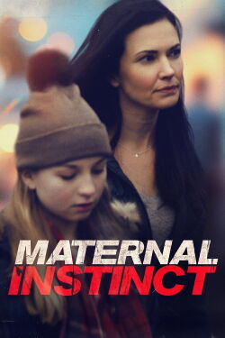 Un tueur à nos trousses (2017)