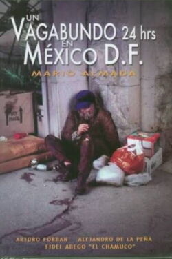 Un vagabundo 24 hrs. en México D.F. (1998)