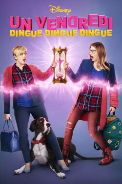 Un vendredi dingue, dingue, dingue (2018)