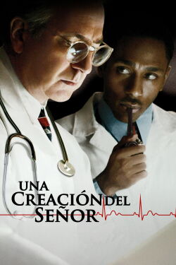 Una creación del Señor (2004)