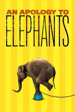 Una Disculpa A Los Elefantes (2013)