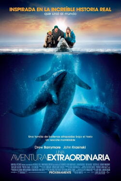 Una gran esperanza (2012)