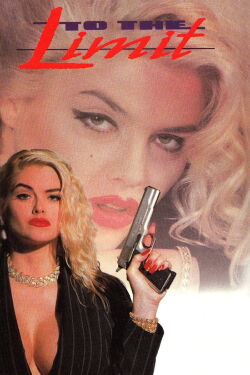 Una mujer peligrosa (1995)