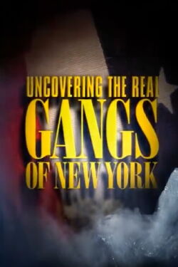 Uncovering the Real Gangs of New York (2003)
