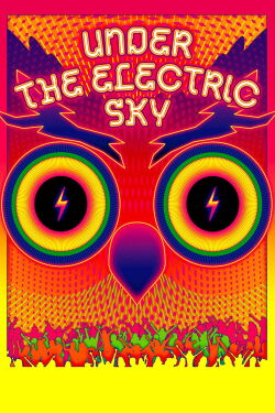 Under the Electric Sky (2014)