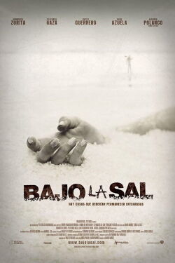 Under the Salt (2008)