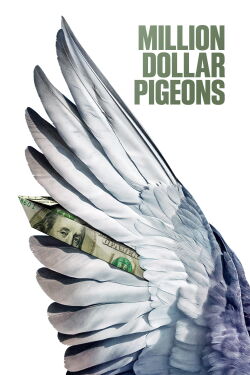 Une course, des pigeons et des millions (2022)