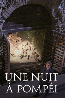 Une nuit à Pompéi (2018)