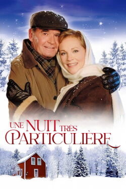 Une nuit très particulière (1999)