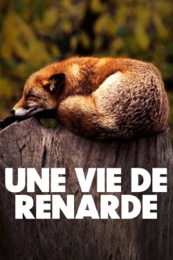 Une vie de renarde (2019)