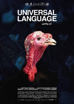 Universal Language (2024)