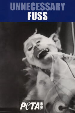 Unnecessary Fuss (1984)