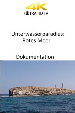 Unterwasserparadies: Rotes Meer (2015)