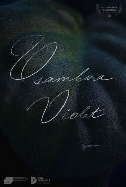 Usambara Violet (2021)