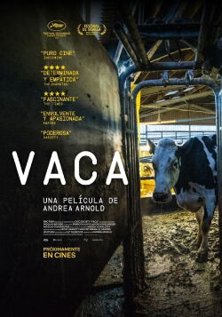 Vaca (2022)