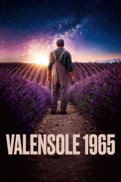 Valensole 1965 (2025)