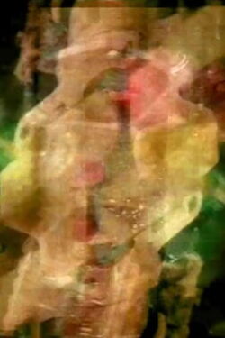 Vat (2005)