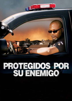 Vecinos en la mira (2008)