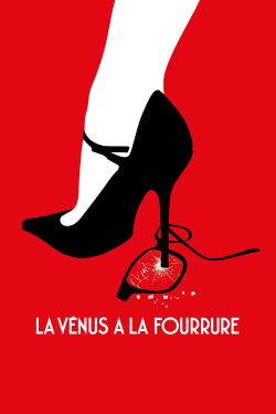 Venus in Fur (2013)