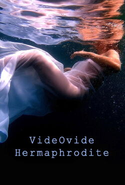 VideOvide Hermaphrodite (2019)