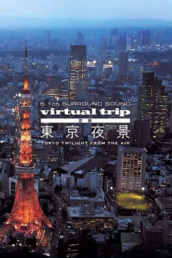 Virtual Trip: Tokyo Twilight from the Air (2008)