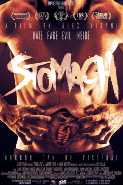 Virus estomacal (2019)