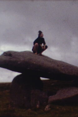 Visibility: Moderate (1981)