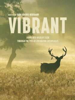 Vivant (2023)