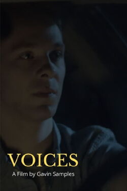 Voices (2020)