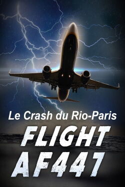 Vol AF 447, Le crash du Rio-Paris (2015)