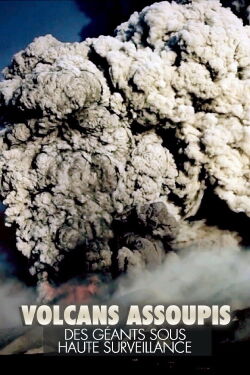 Volcans assoupis - Des géants sous haute surveillance (2015)