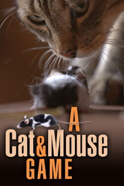 Von Katze und Maus – Das ewige Duell (2019)