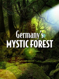 Voyage dans les forêts allemandes (2020)