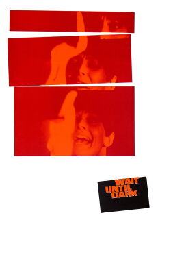 Wait Until Dark (1967)