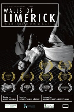 Walls of Limerick (2019)