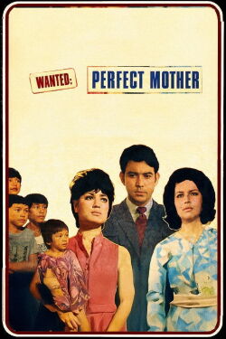 Wanted: Perfect Mother (1970)