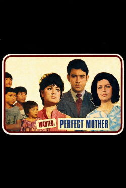 Wanted: Perfect Mother (1970)