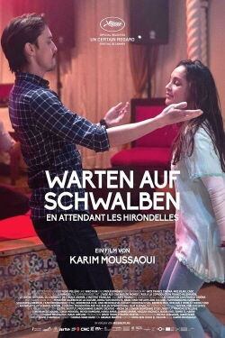 Warten auf Schwalben (2017)