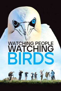 Watching People Watching Birds (2026)