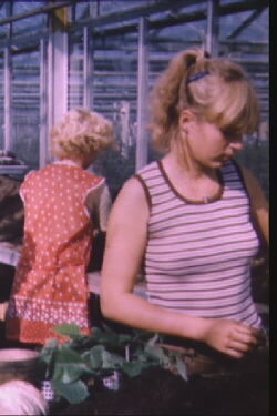 Wechseljahre (1985)