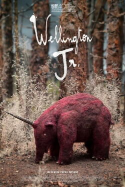 Wellington Jr. (2015)