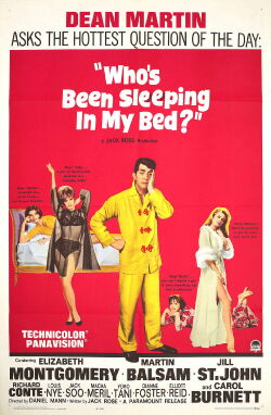 Wer hat in meinem Bett geschlafen? (1963)