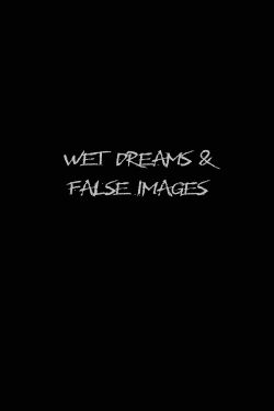 Wet Dreams and False Images (2004)