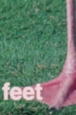 What Are Letters For? (1973)