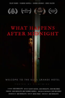 What Happens After Midnight (2024)