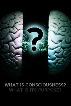 What Is Consciousness? What Is Its Purpose? (2017)