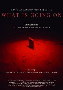 What Is Going On (2022)