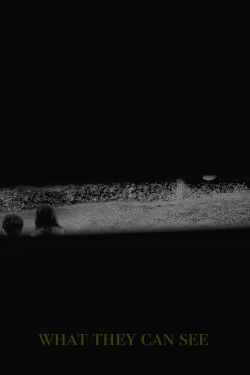 What they can see (2024)